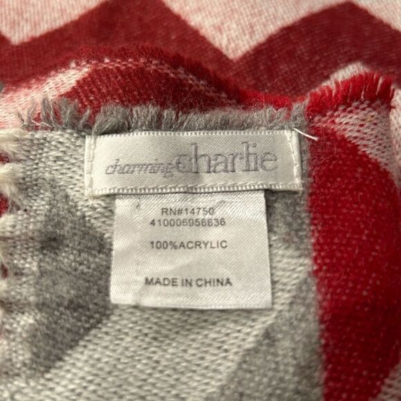 Charming Charlie scarf  - Picture 3 of 3